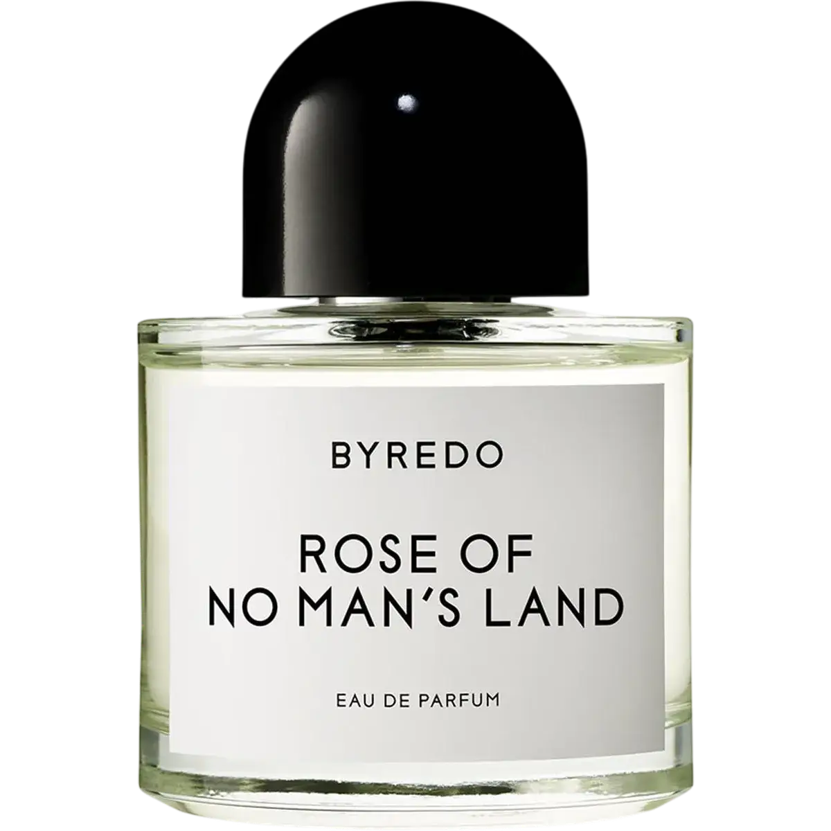 Rose of No Man's Land