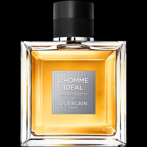 L’Homme Idéal