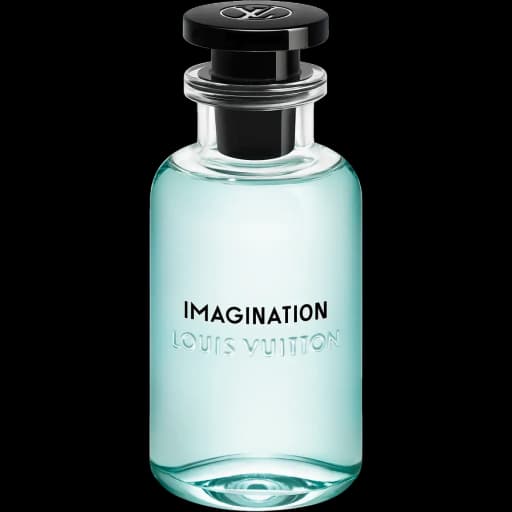 Imagination