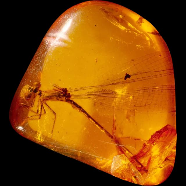 Amber