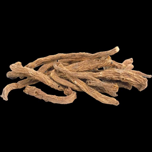 Angelica