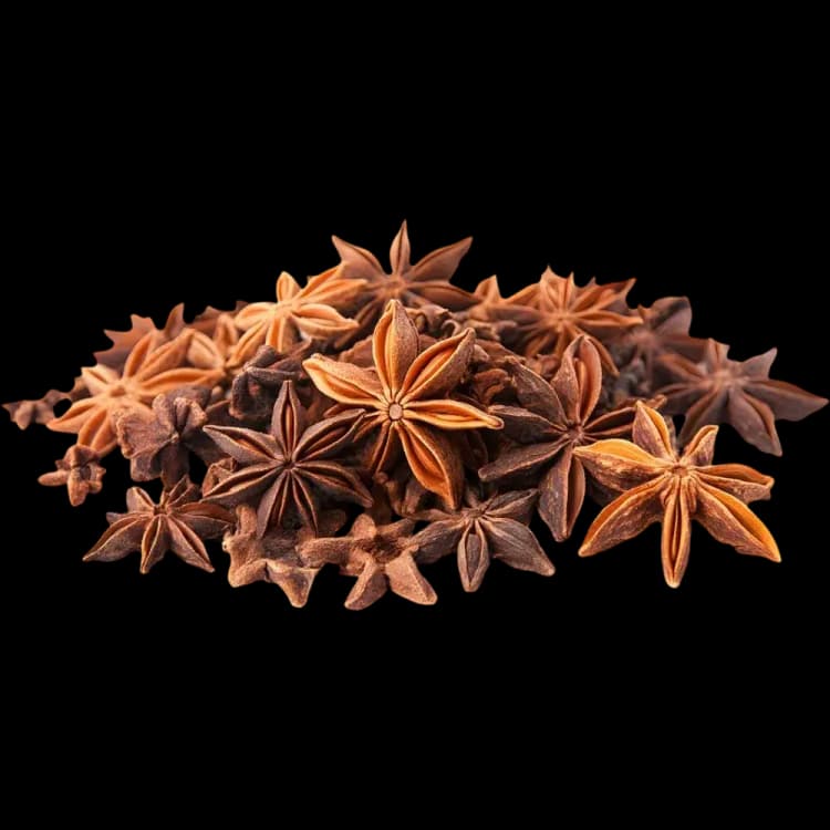 Anise