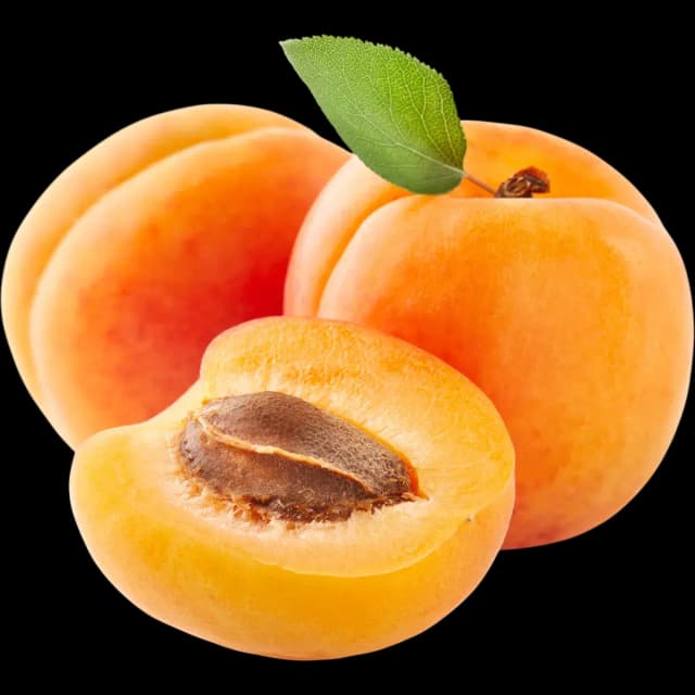 Apricot