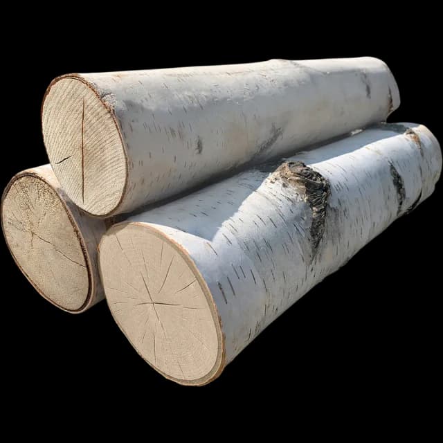 Birch