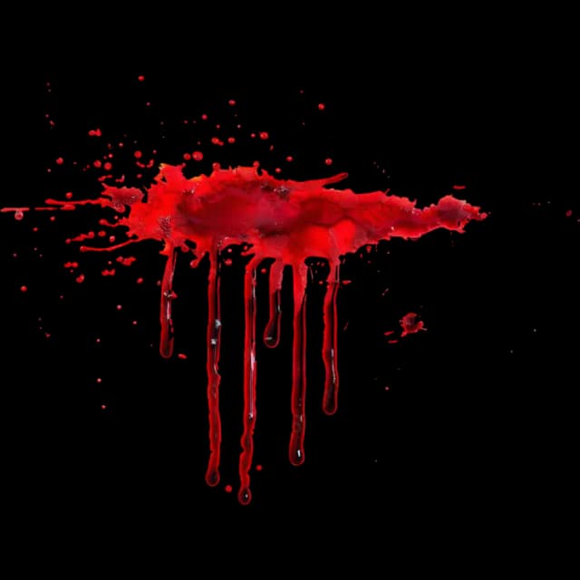 Blood