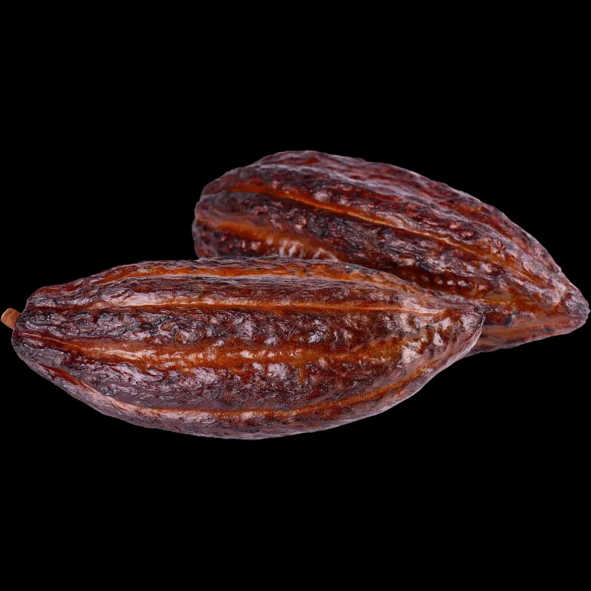 Cacao