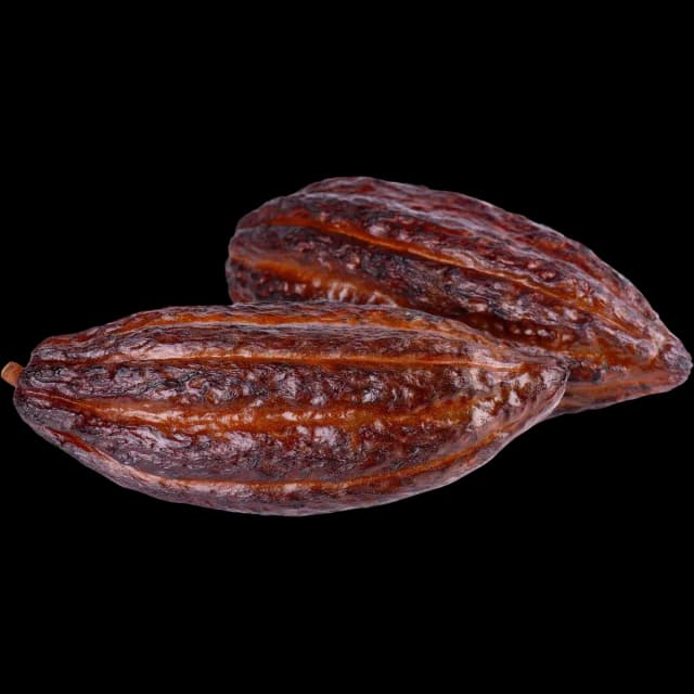 Cacao
