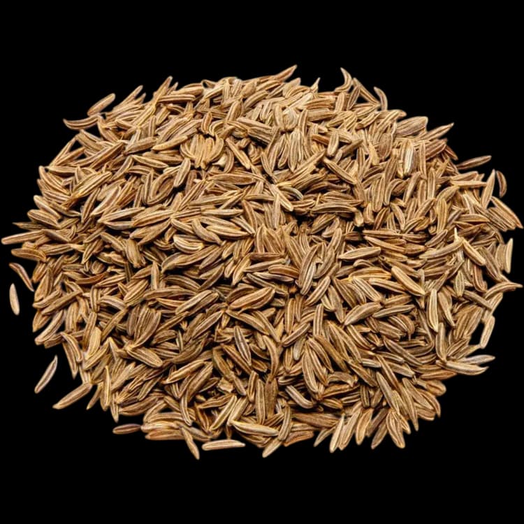 Caraway