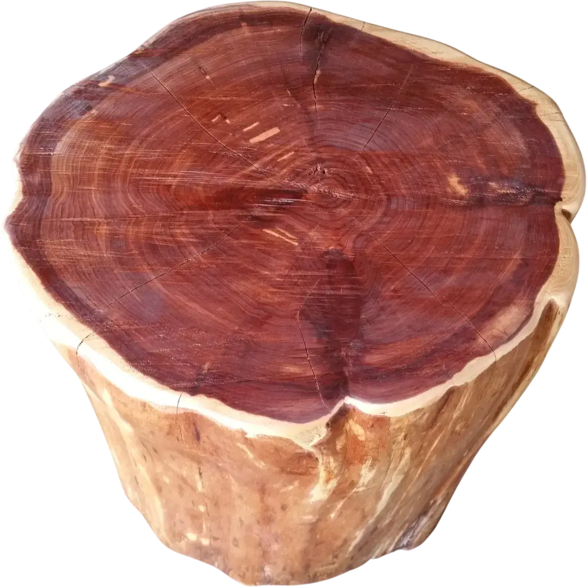 Cedar