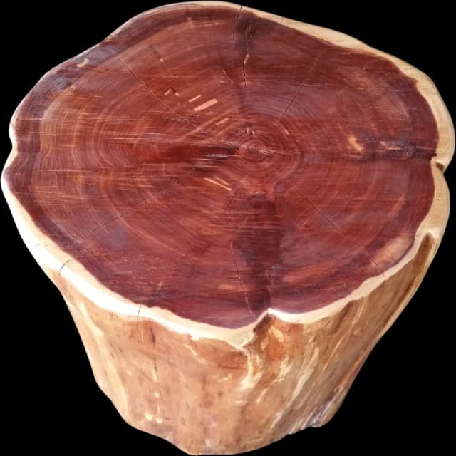Cedar