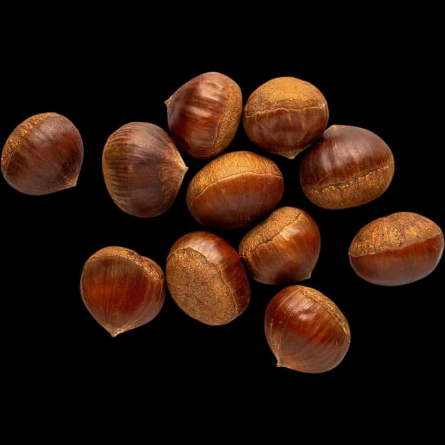 Chestnut