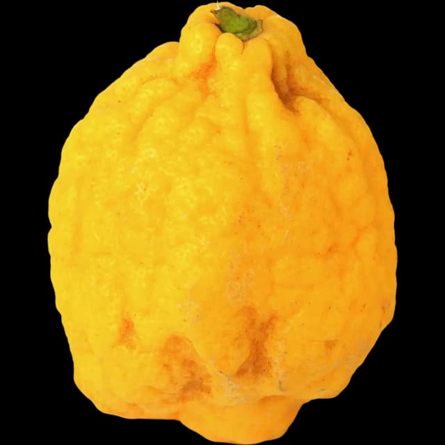 Citron