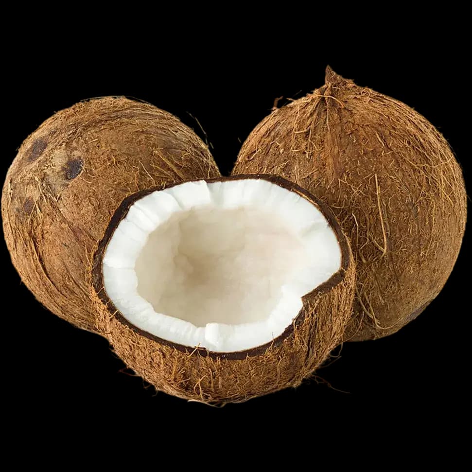 Coconut