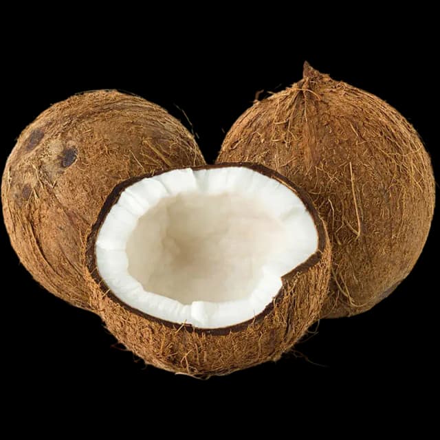 Coconut