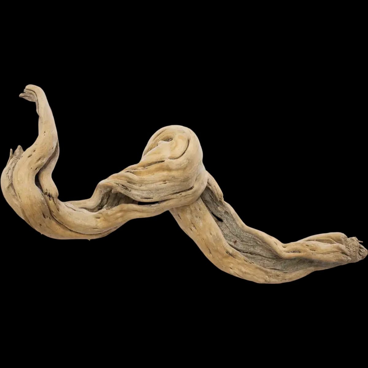 Driftwood