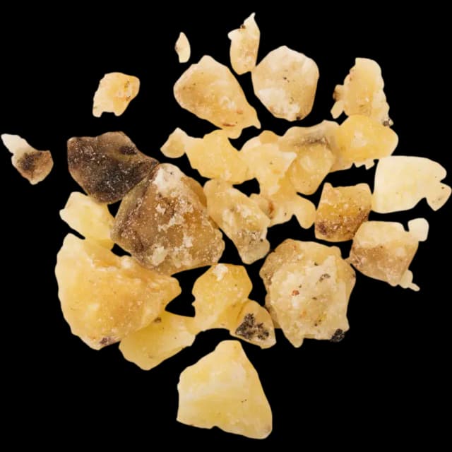 Elemi