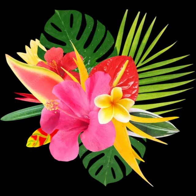 Frangipani