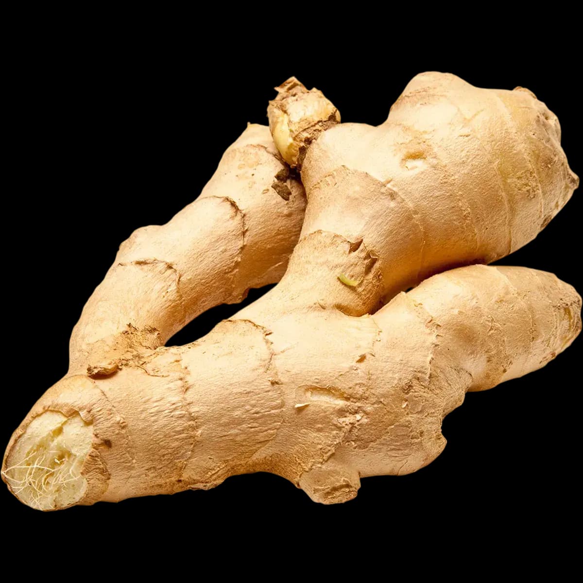 Ginger