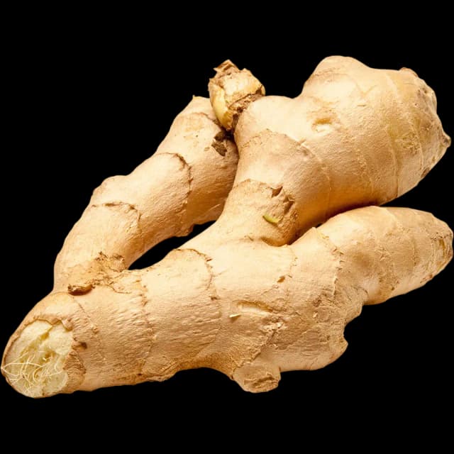 Ginger