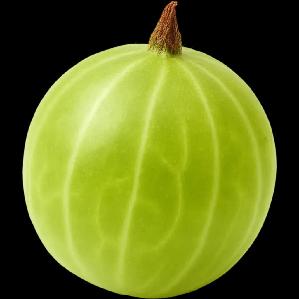 Gooseberry
