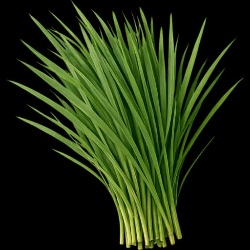 Grass