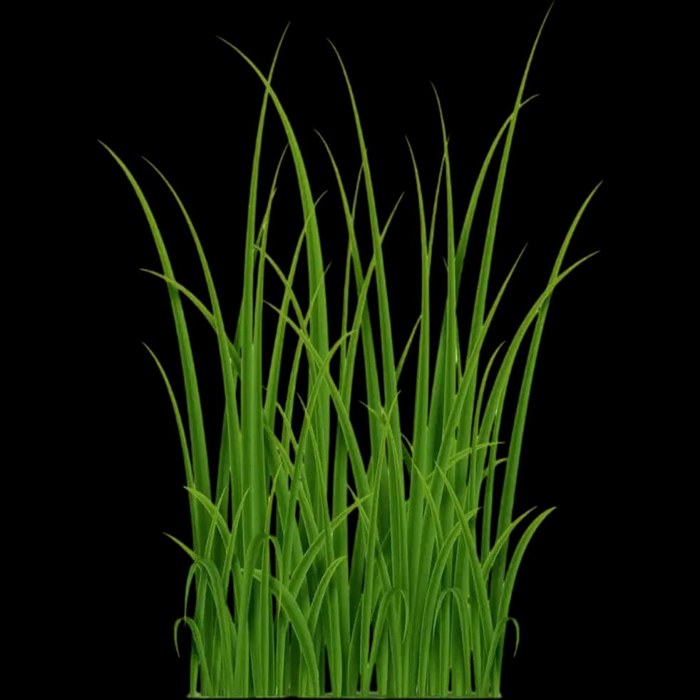 Greens