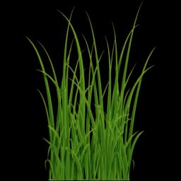 Greens