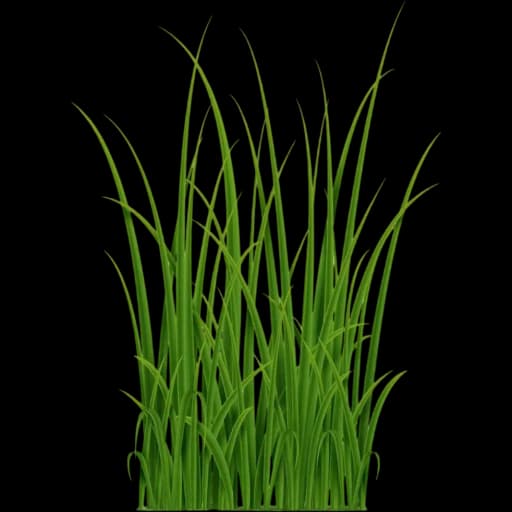 Greens
