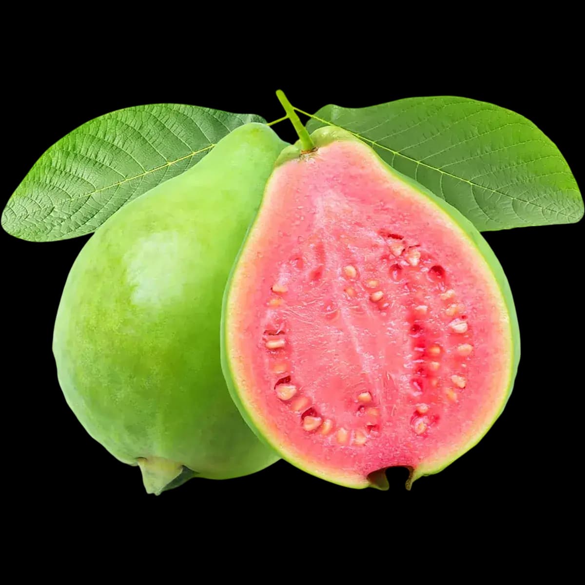 Guava