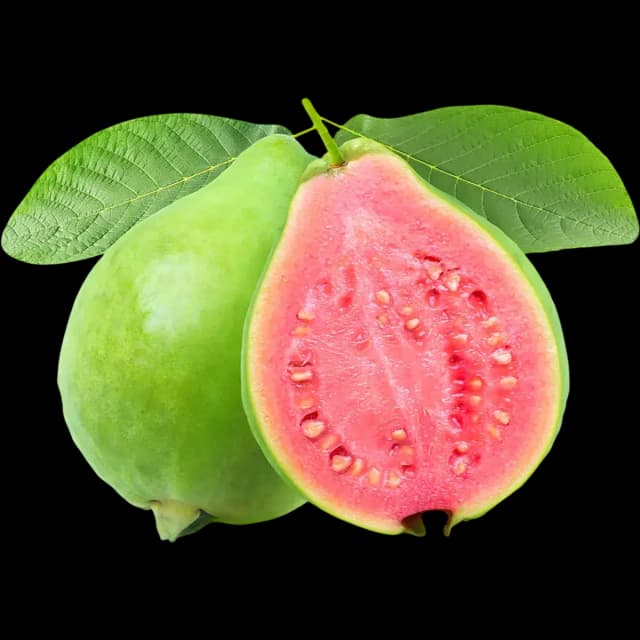 Guava