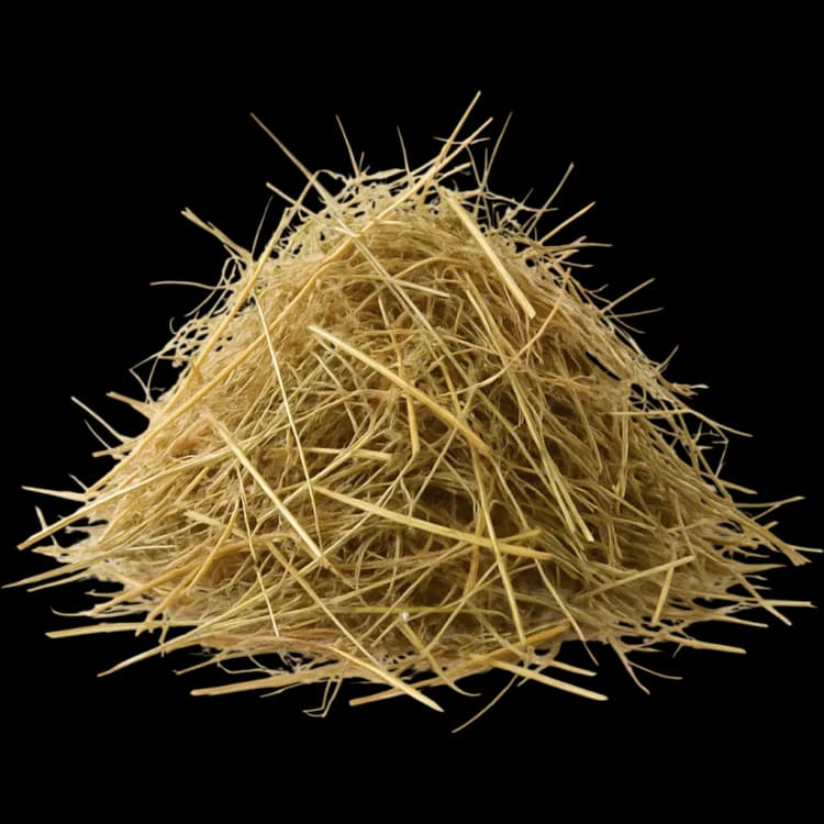 Hay
