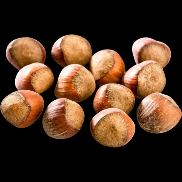 Hazelnut