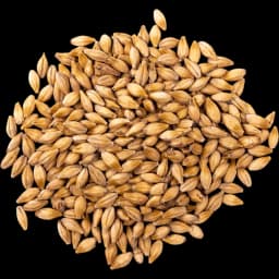 Malt