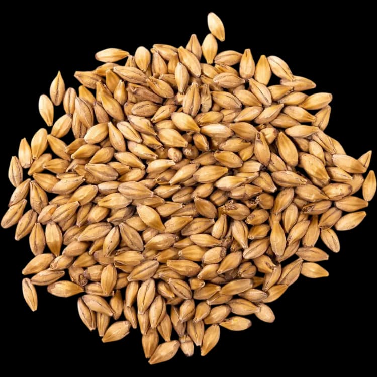 Malt