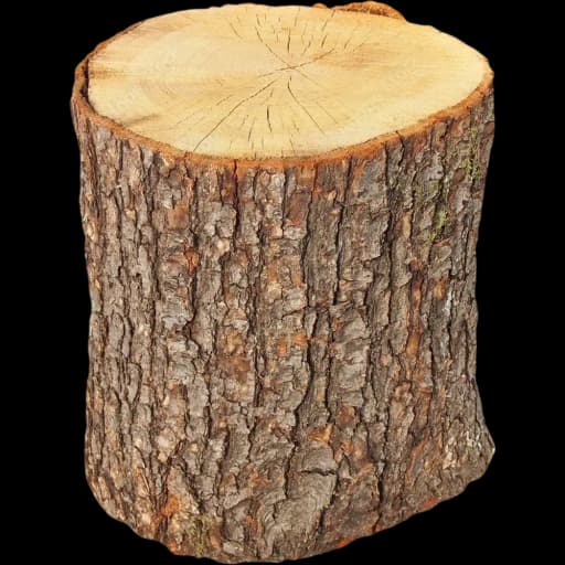 Oak