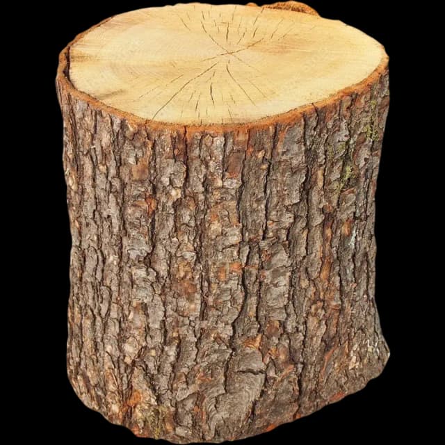Oak