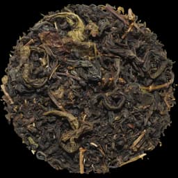 Oolong Tea