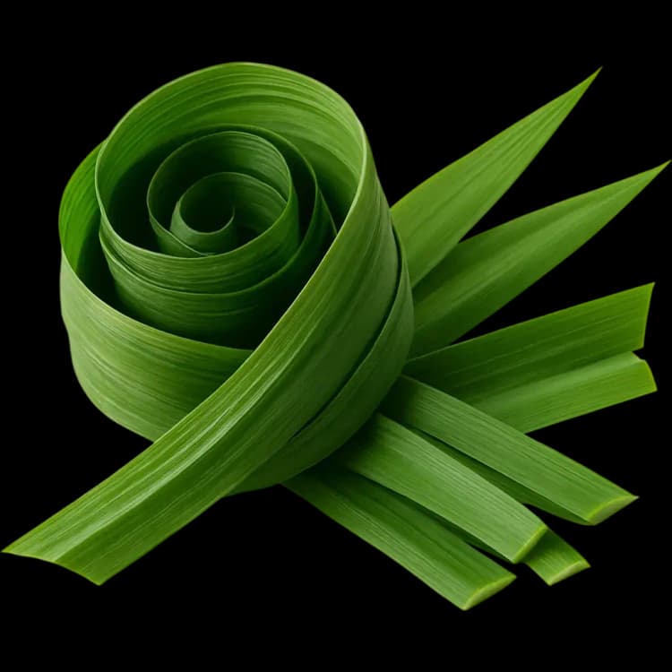 Pandan