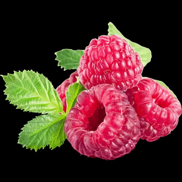 Raspberry