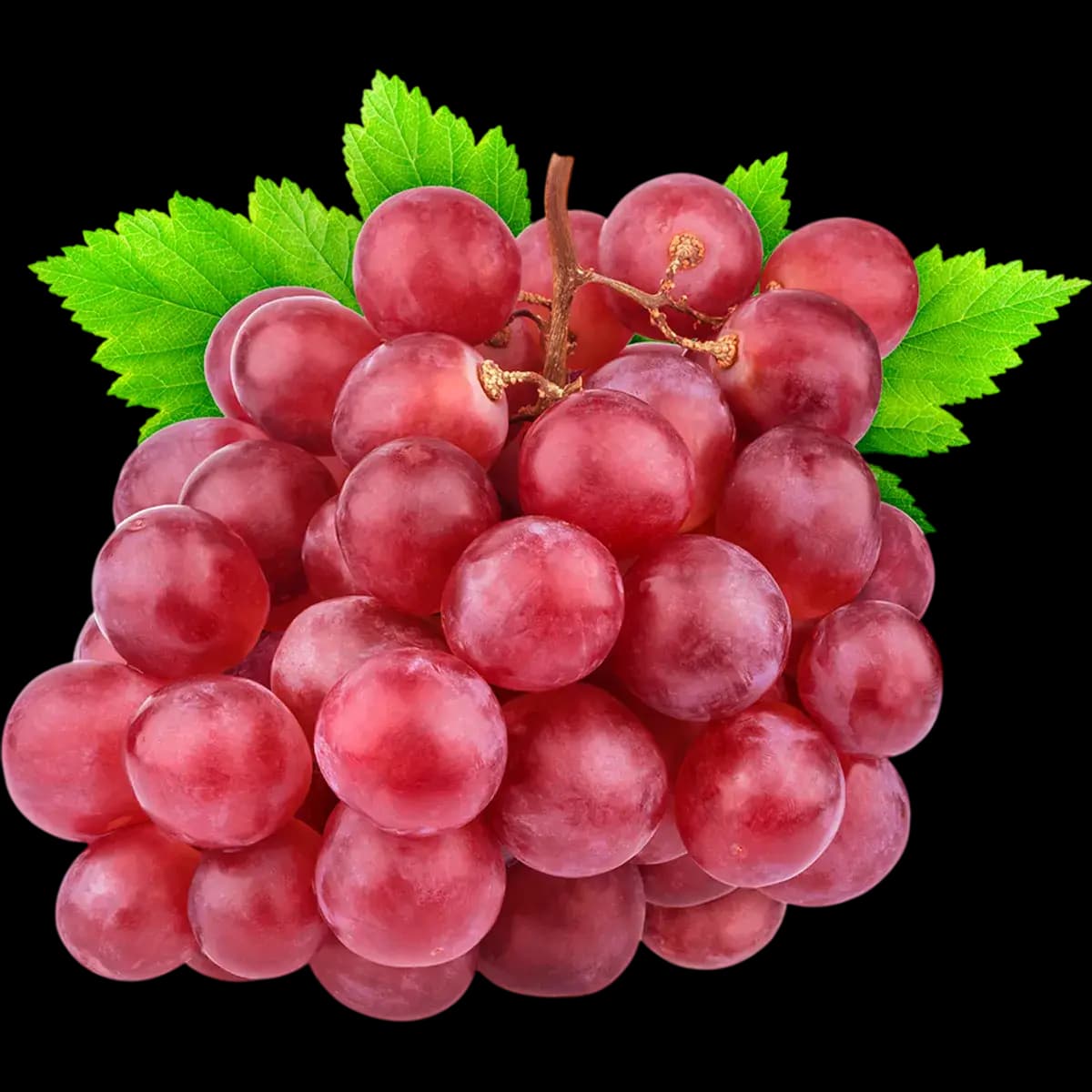 Red Grape