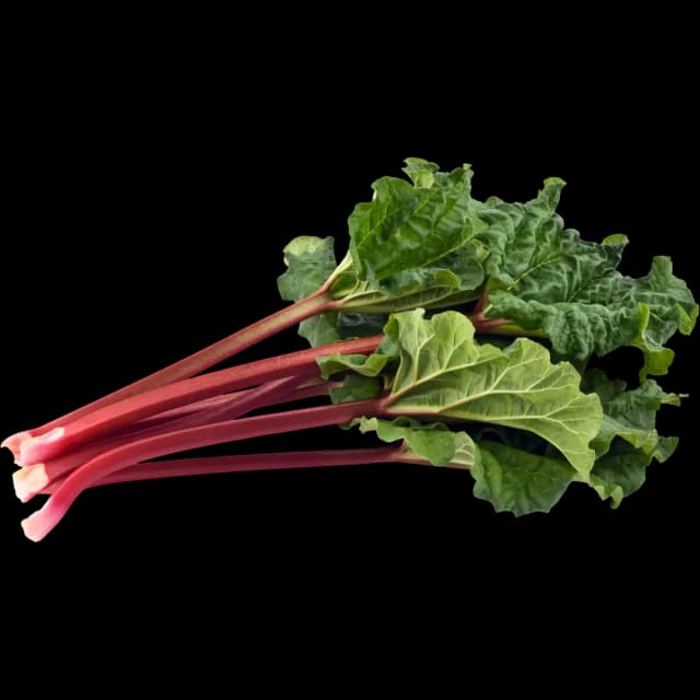 Rhubarb