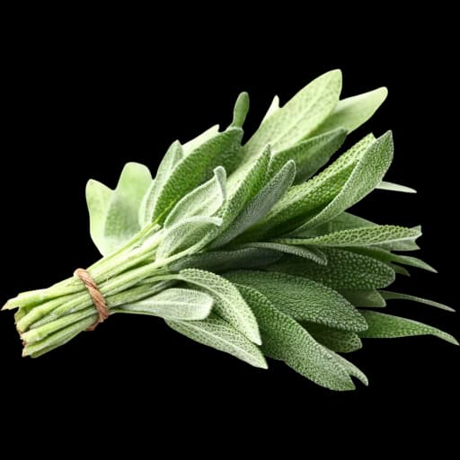 Sage