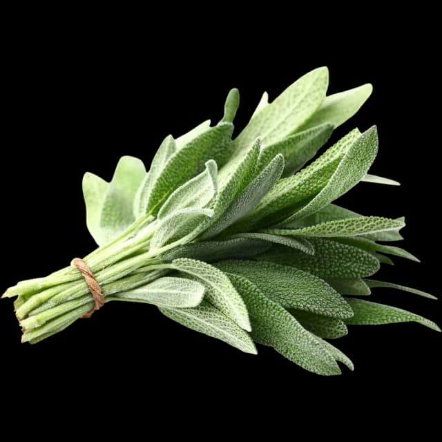 Sage