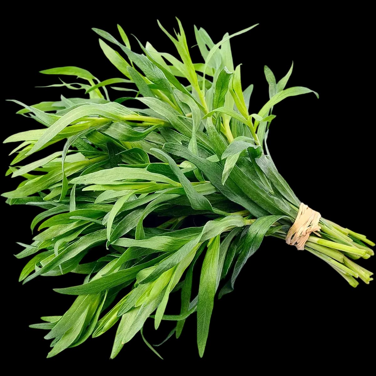 Tarragon