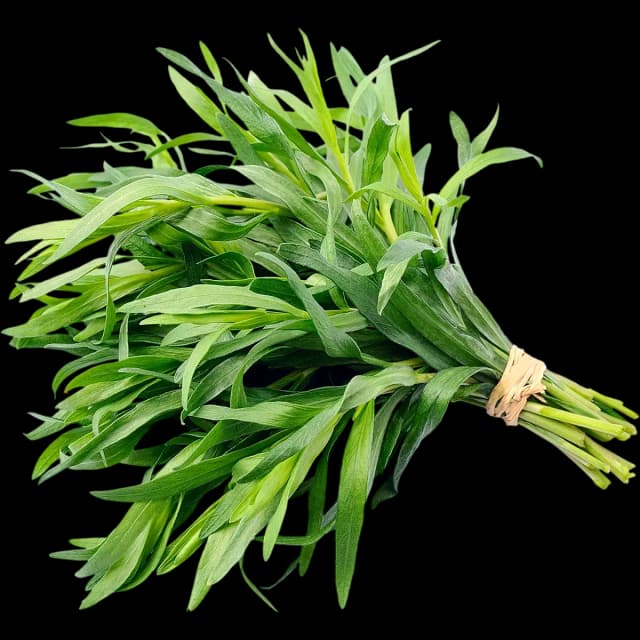 Tarragon