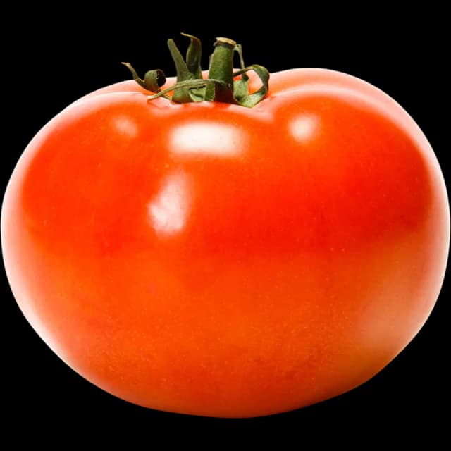 Tomato