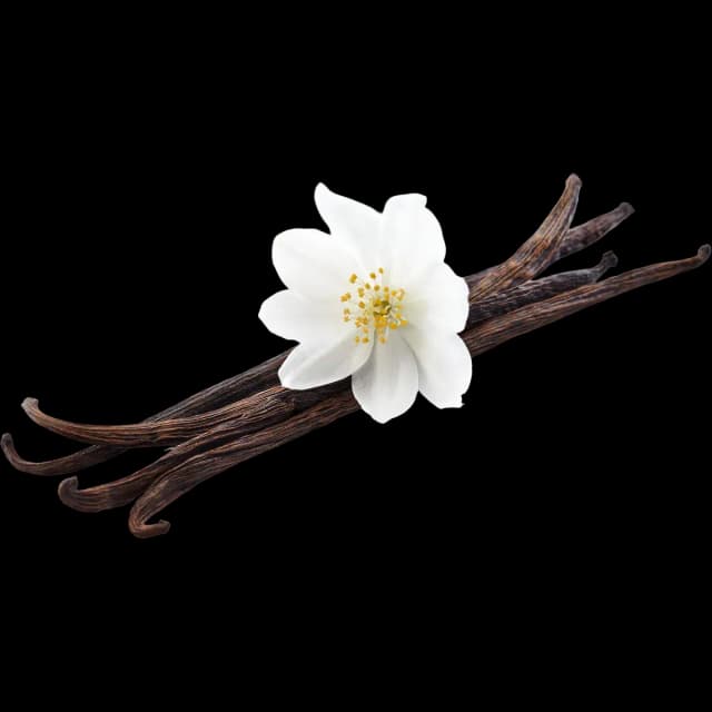 Vanilla