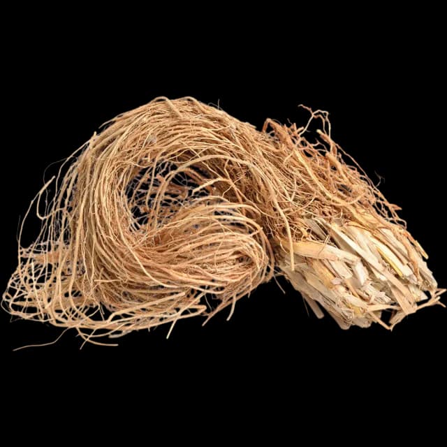 Vetiver