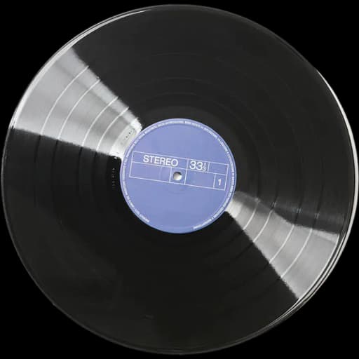 Vinyl