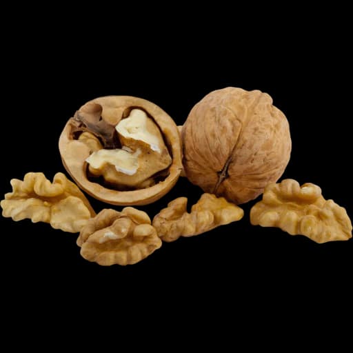 Walnut